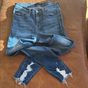 Flying Monkey Blue Distressed Skinny Jeans